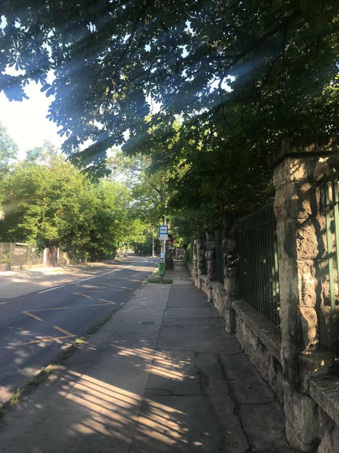 Pasarét Studio Budapest Bagian luar foto